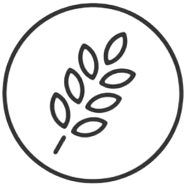 pilnasgrudas.lt logotipas